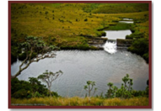 Horton plains Sri Lanka